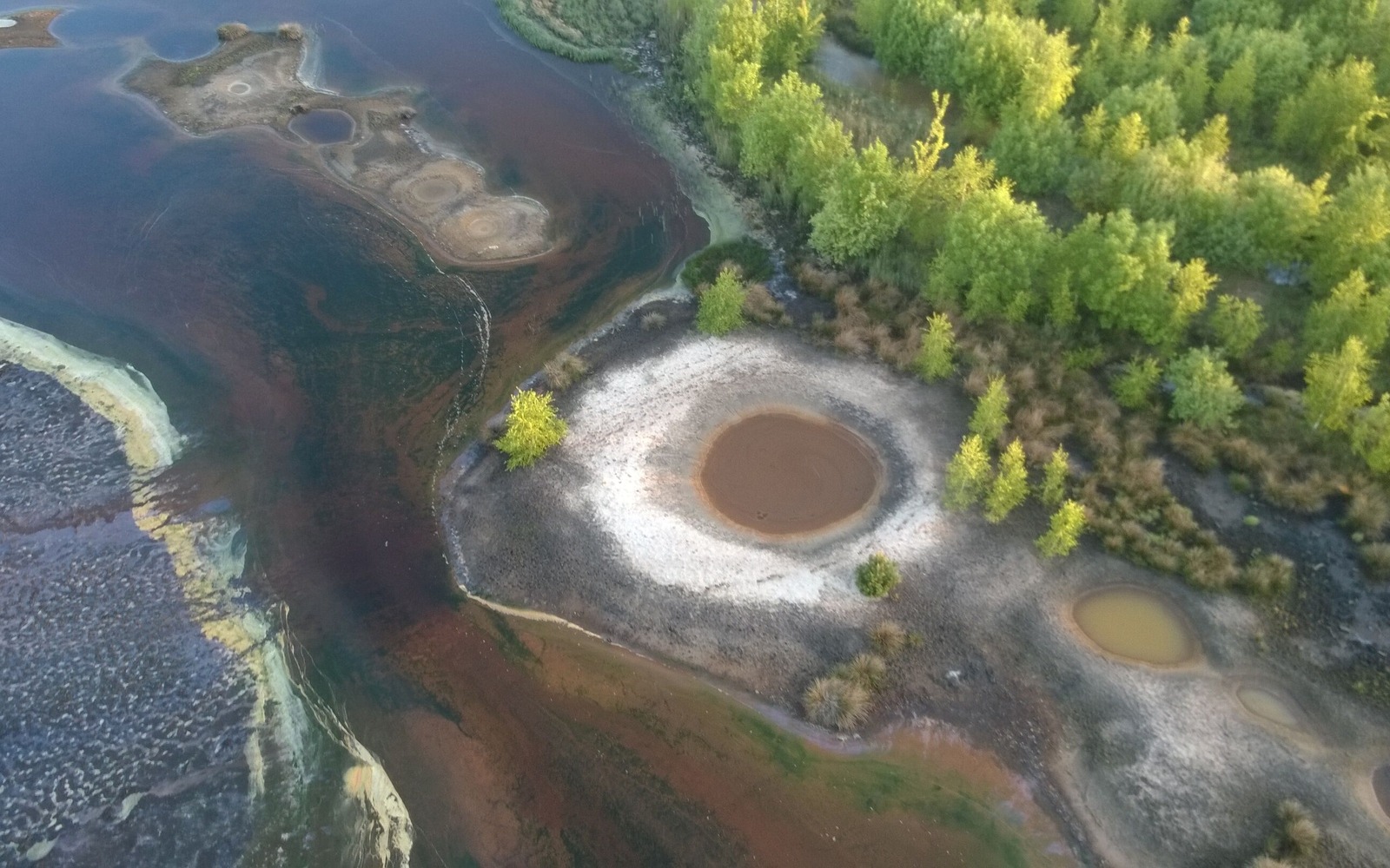 Abrichtungstrichter und Spuckloch im Naturschutzgroßprojekt Lausitzer Seenland, Foto: Alexander Harter, Lizenz: Lausitzer Seenland gGmbH