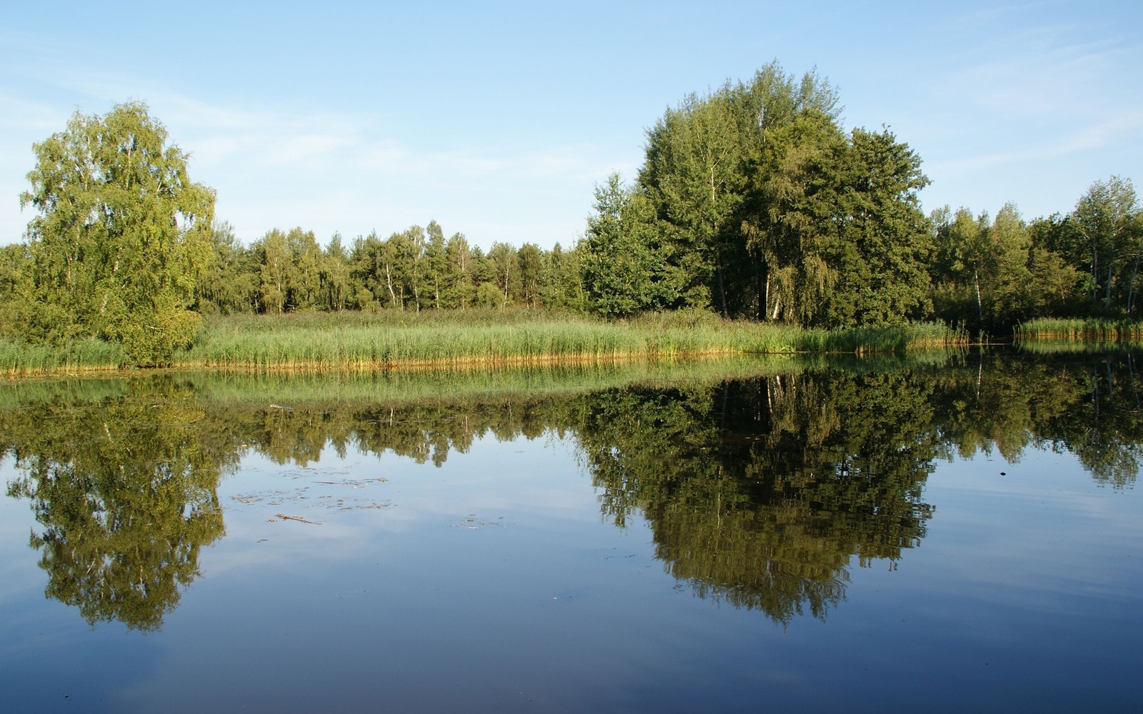 Teichlandschaft Buchwäldchen-Muckwar, Foto: Claudia Donat, Lizenz: Claudia Donat