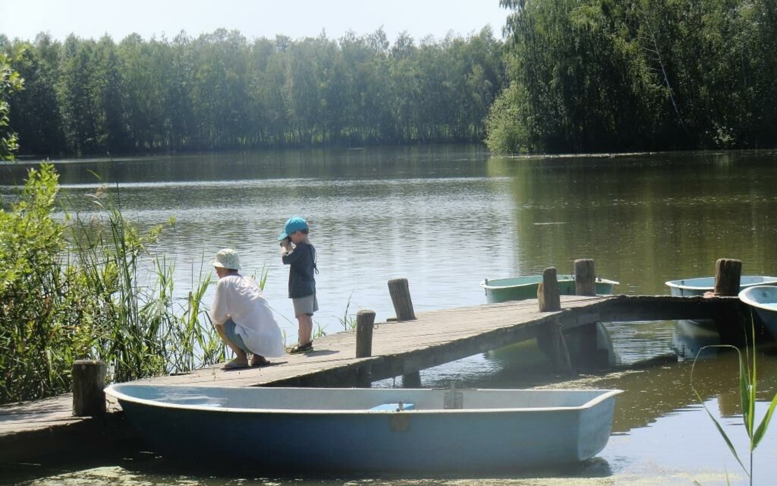 Mittelteich im Dubringer Moor, Foto: Marcus Heberle, Lizenz: Tourismusverband Lausitzer Seenland e.V.