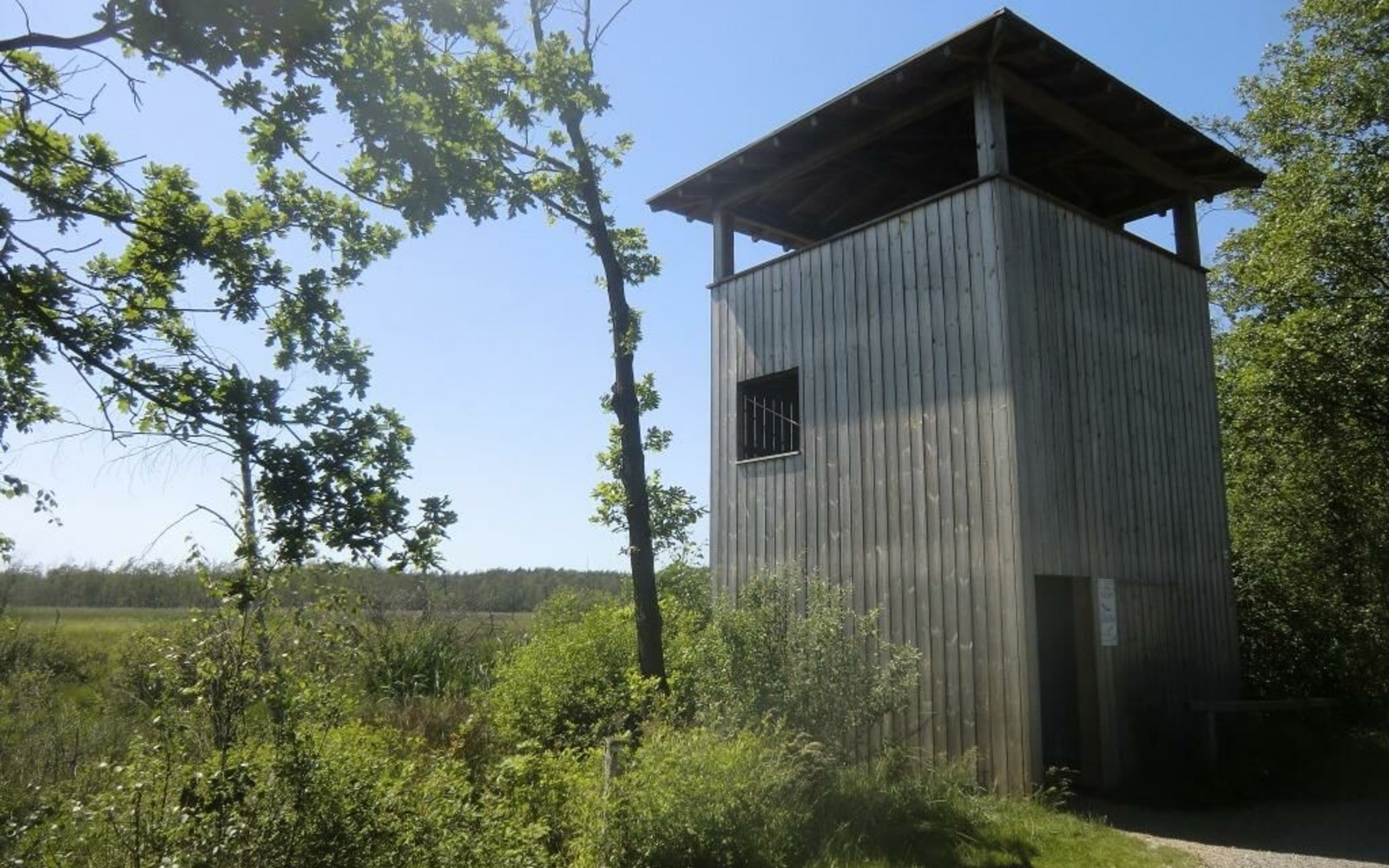 Aussichtsturm im Dubringer Moor, Foto: Marcus Heberle, Lizenz: Tourismusverband Lausitzer Seenland e.V.