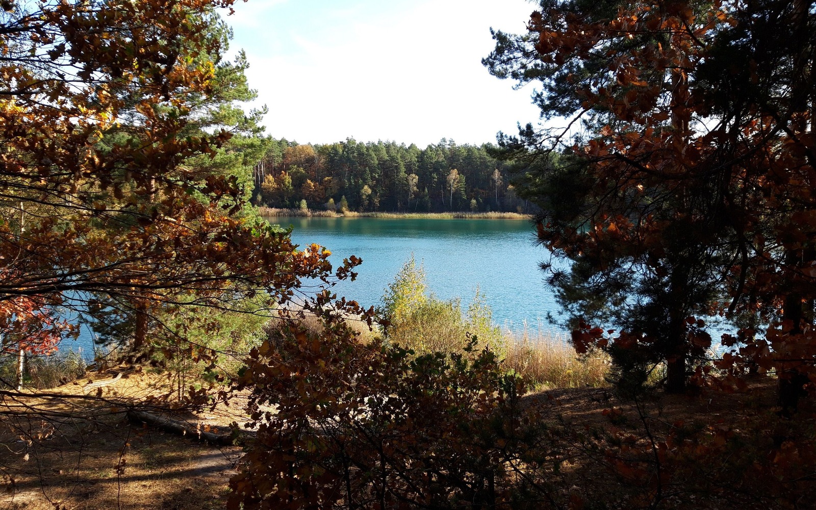 Blick auf den Großen Sandschacht, Foto: Anja Meisler, Lizenz: Tourismusverband Lausitzer Seenland e.V.