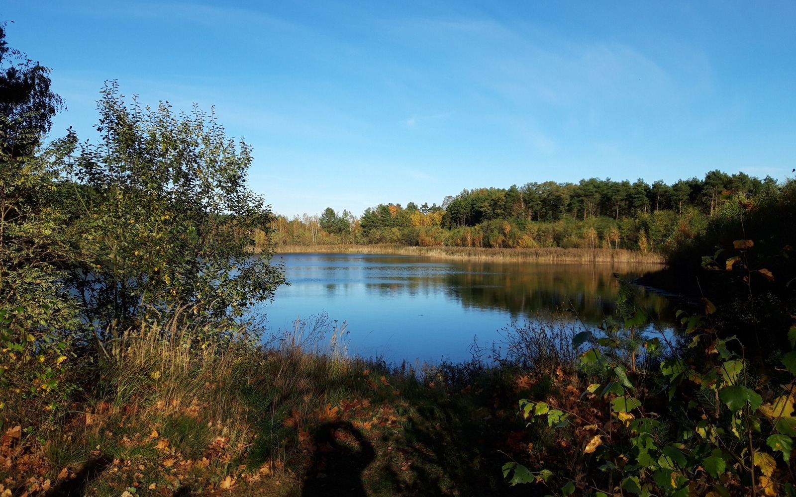 Einer der Teiche entlang des Wanderweges, Foto: Anja Meisler, Lizenz: Tourismusverband Lausitzer Seenland e.V.