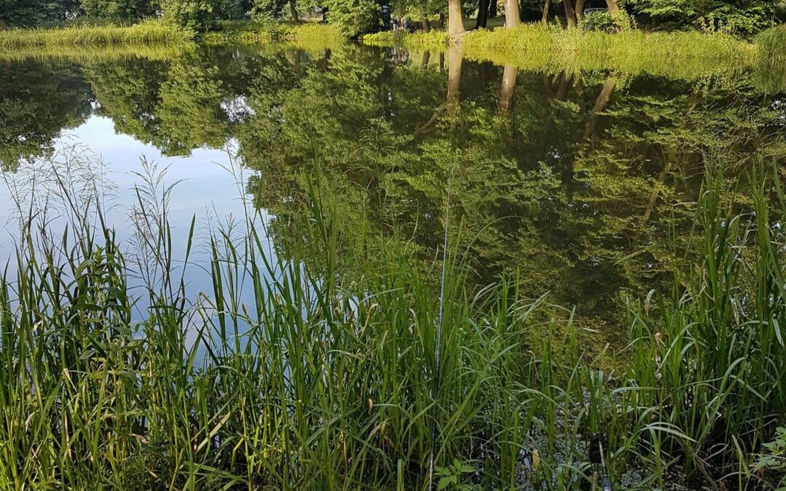 Angelteich Uhyst/Spree, Foto: Foto: Tony Funke