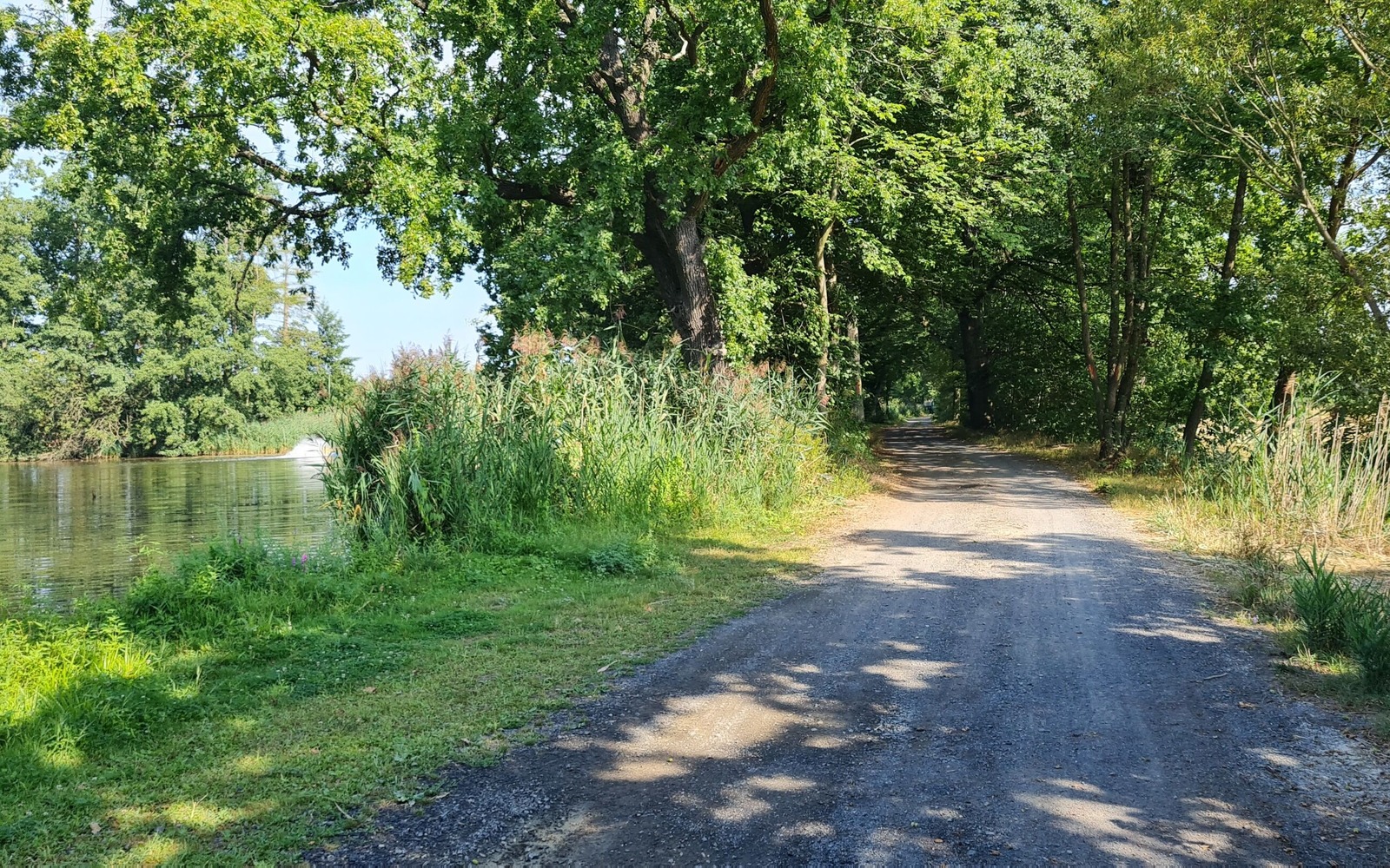 Teichwirtschaft Neudorf-Klösterlich, Foto: Eva Lau, Lizenz: Tourismusverband Lausitzer Seenland e.V.