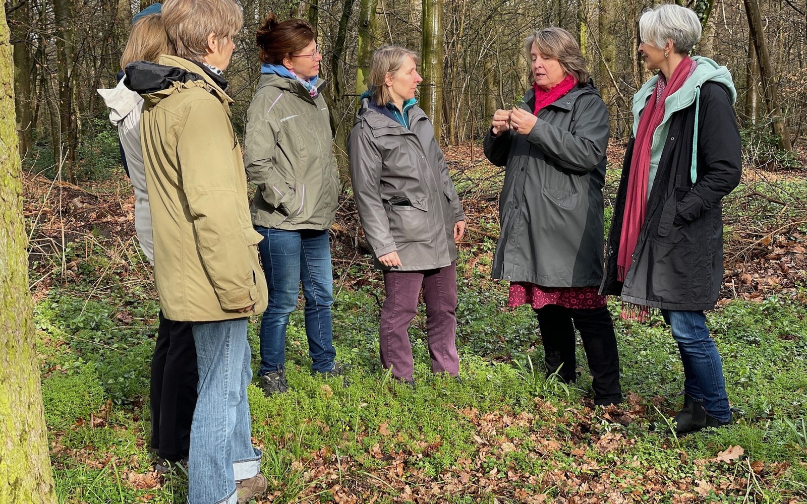 Wildpflanzenspaziergang Wild Perma, Foto: Claudia Mönch, Lizenz: Claudia Mönch
