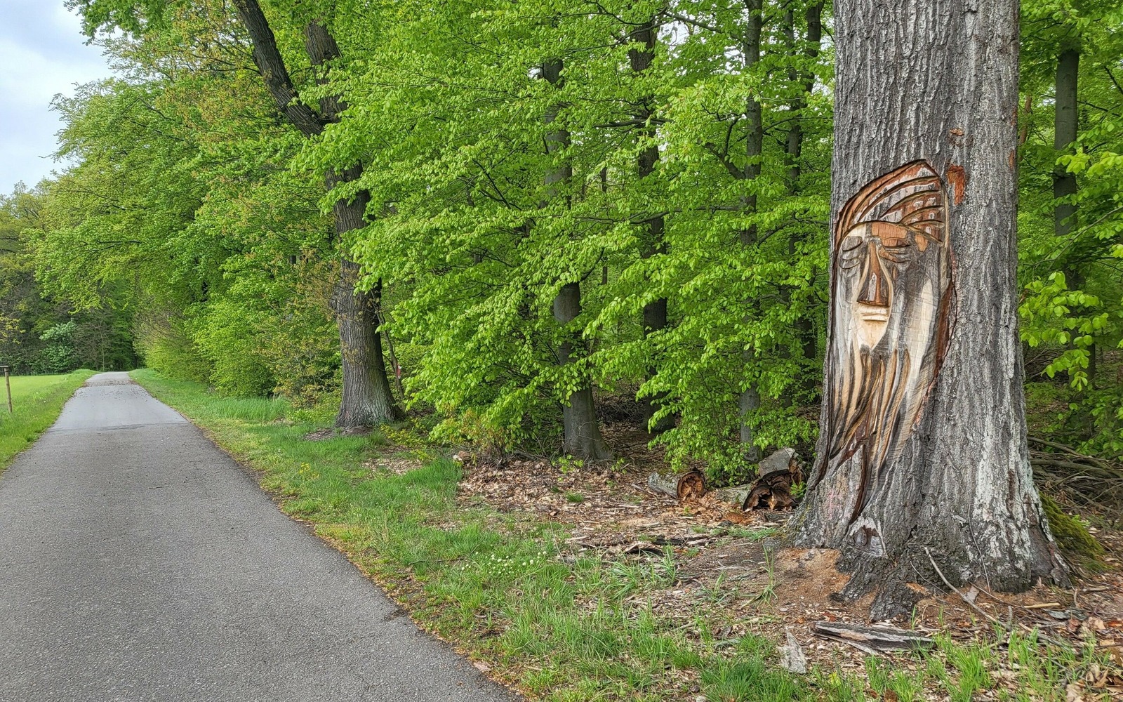 Tree carving by the wayside, Foto: Kathrin Winkler, Lizenz: Tourismusverband Lausitzer Seenland e.V.