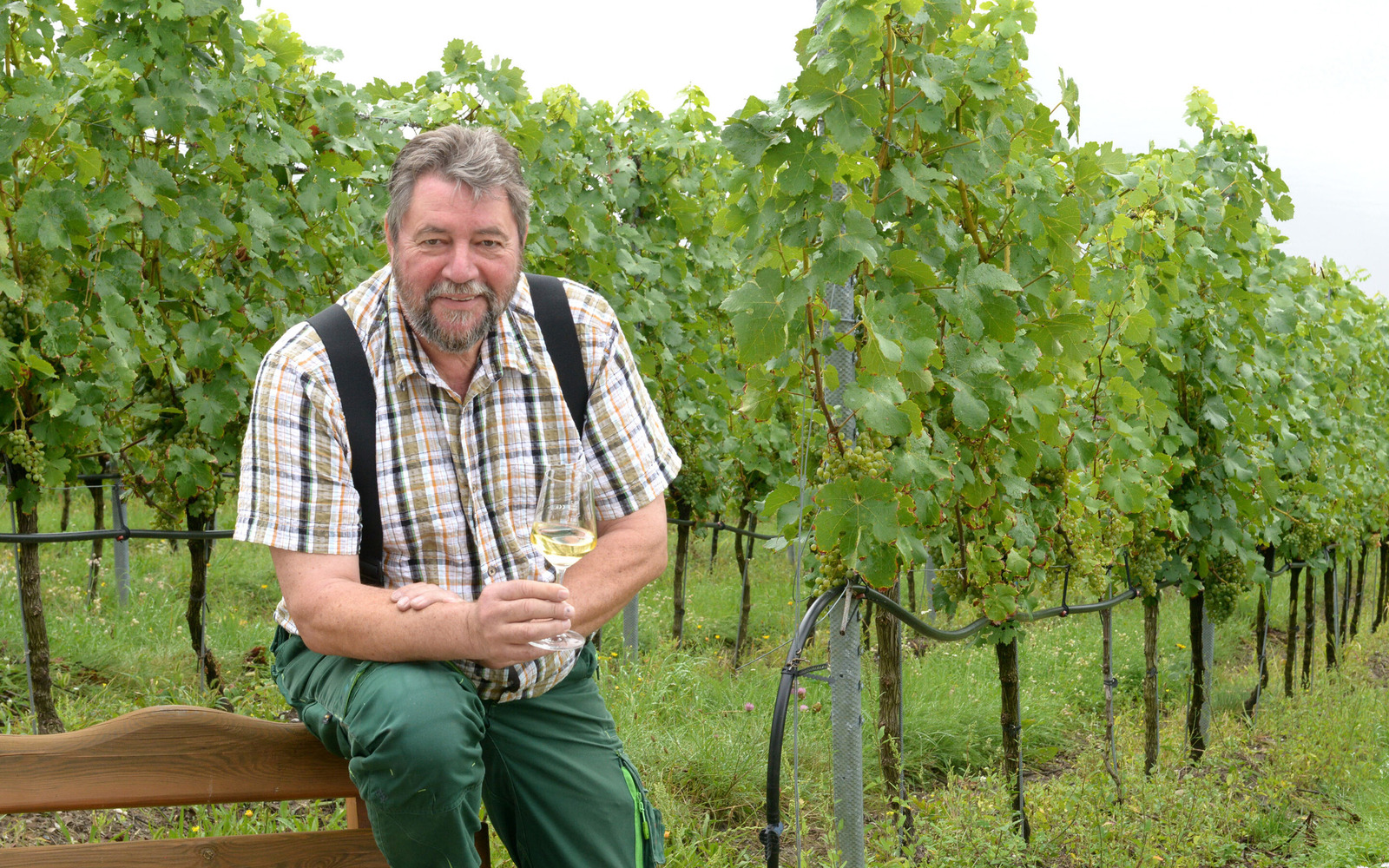 Winzer Dr. Andreas Wobar, Foto: Steffen Rasche, Lizenz: Weinbau Dr. Wobar