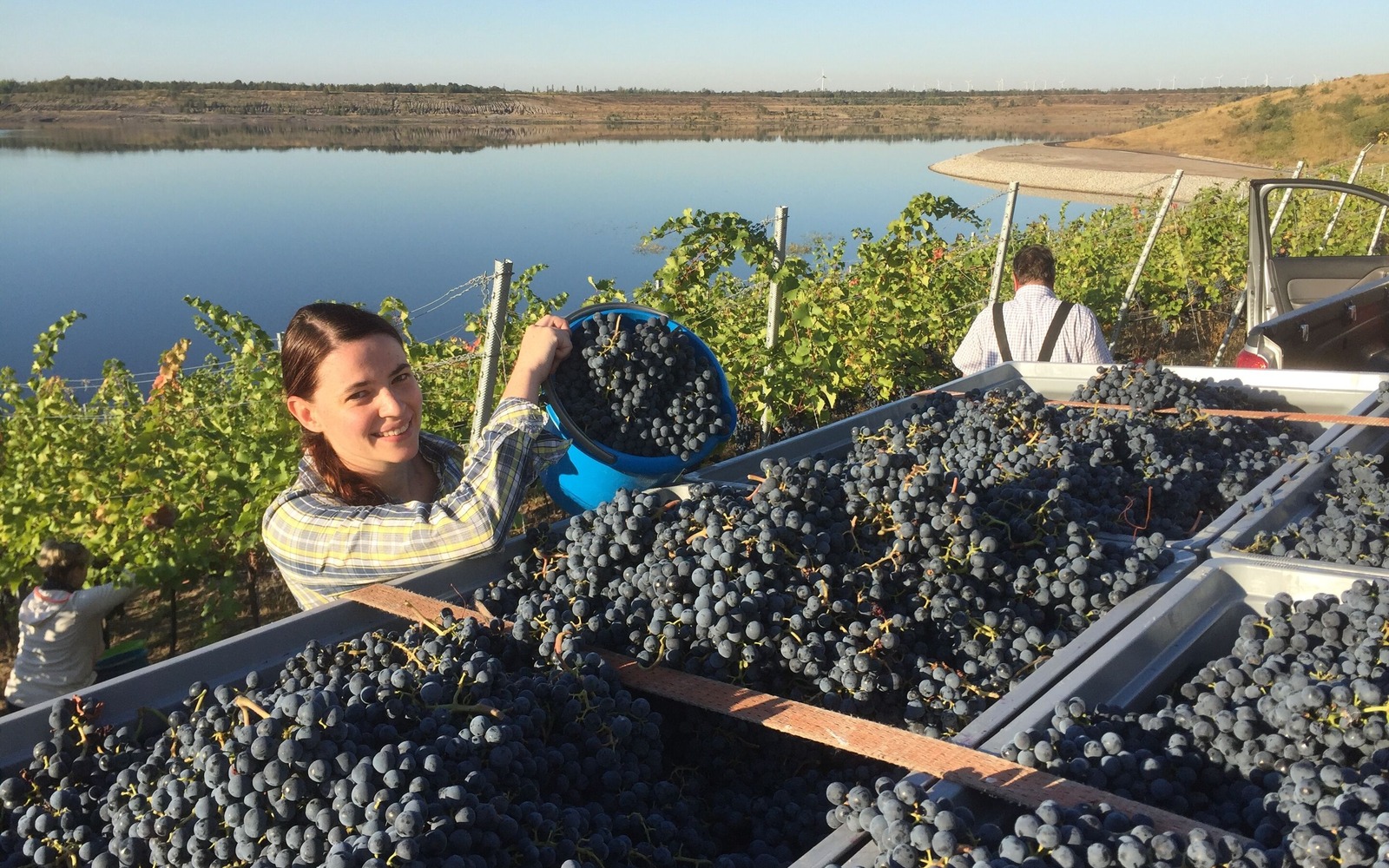 Weinlese mit der Winzerfamilie, Foto: Cornelia Wobar, Lizenz: Cornelia Wobar