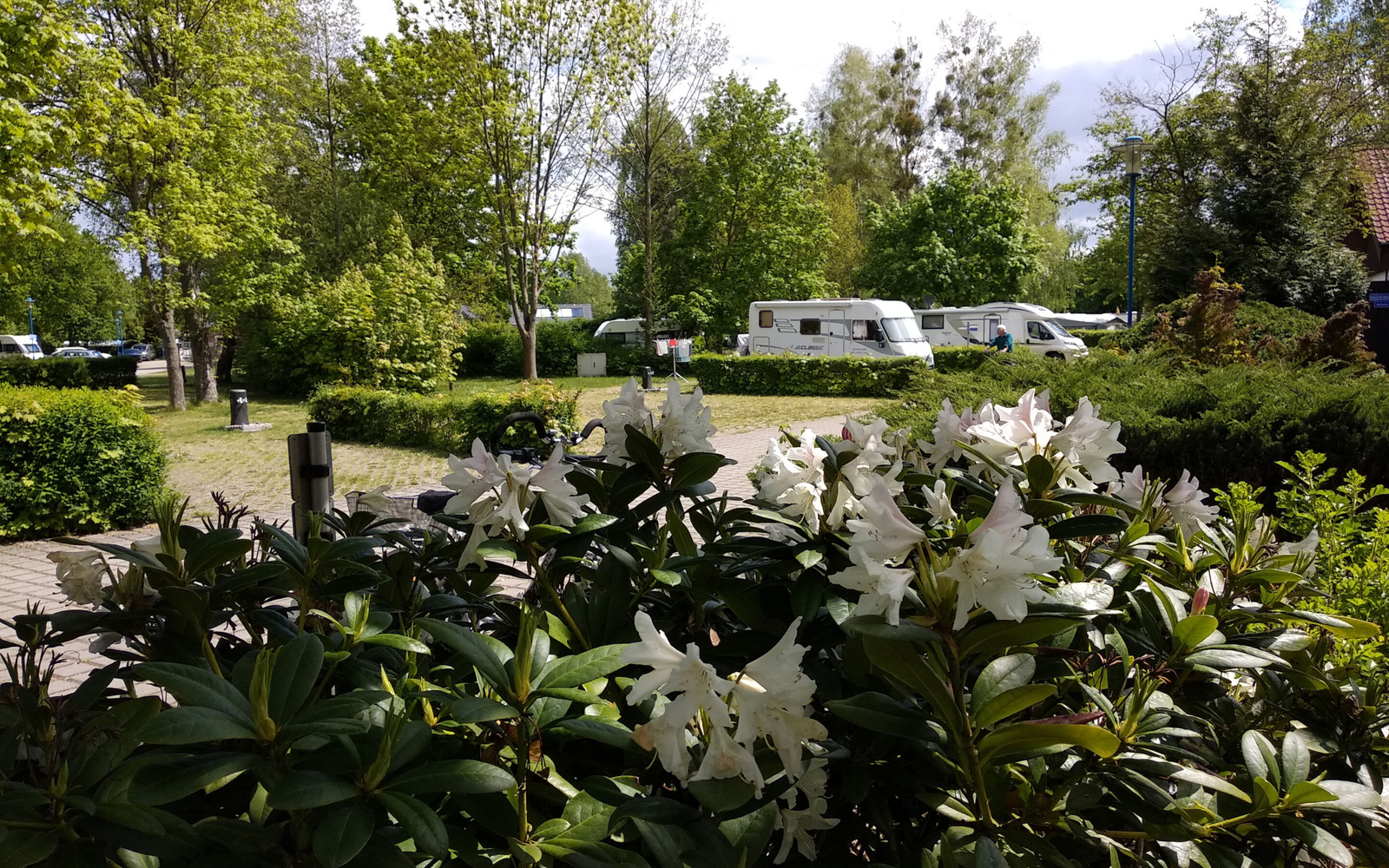 Komfortcamping Senftenberger See, Foto: Saskia Müller, Lizenz:  Zweckverband Lausitzer Seenland Brandenburg
