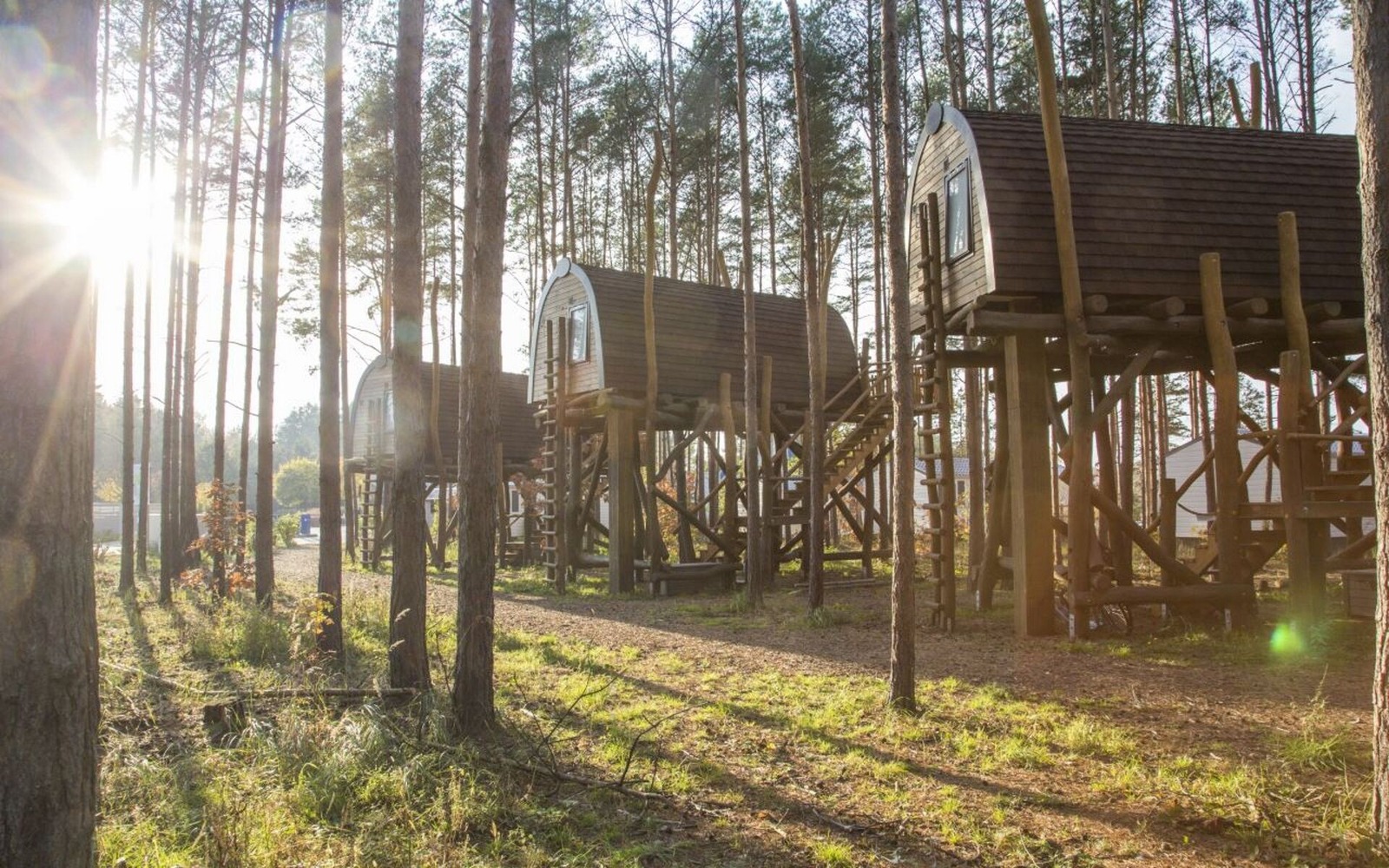 Baumhäuser, Foto: Harry Müller, Lizenz: Zweckverband Lausitzer Seenland Brandenburg