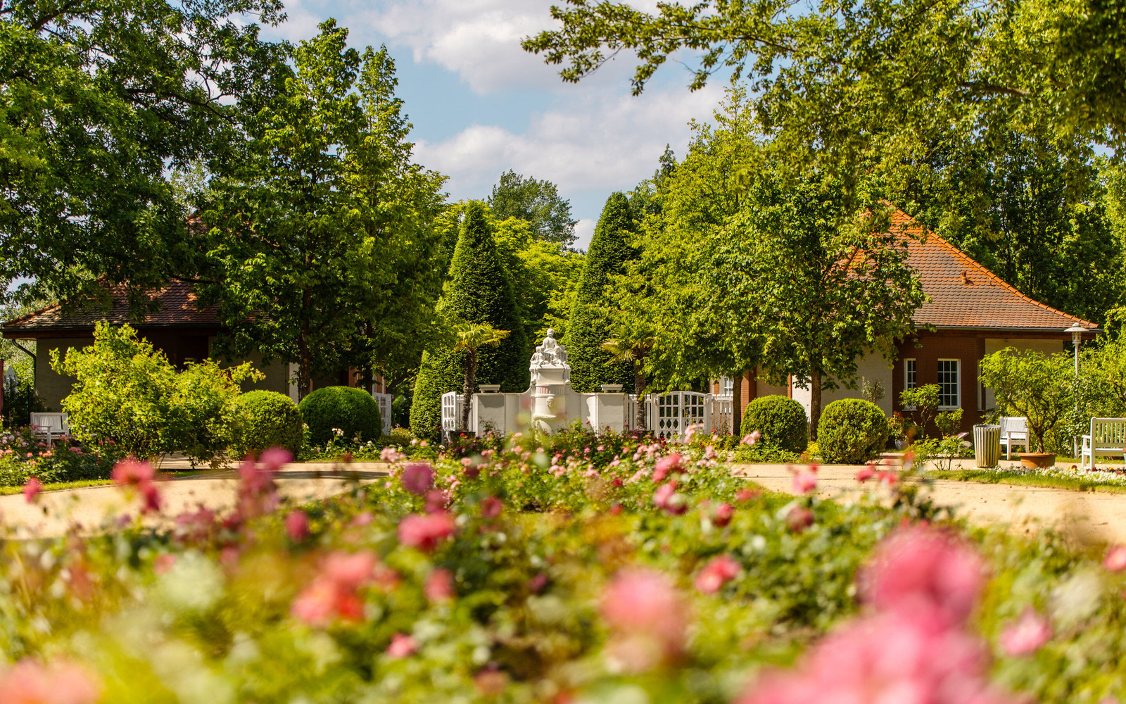 Ostdeutscher Rosengarten Forst (Lausitz), Foto: Patrick Lucia, Lizenz: PatLografie