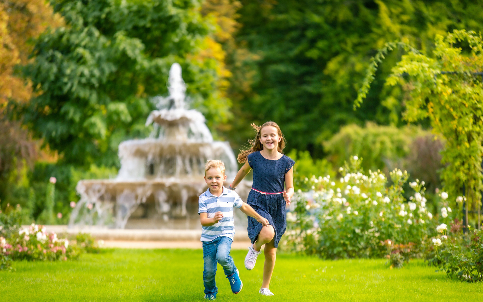 Ostdeutscher Rosengarten Forst (Lausitz), Foto: Patrick Lucia, Lizenz: PatLografie