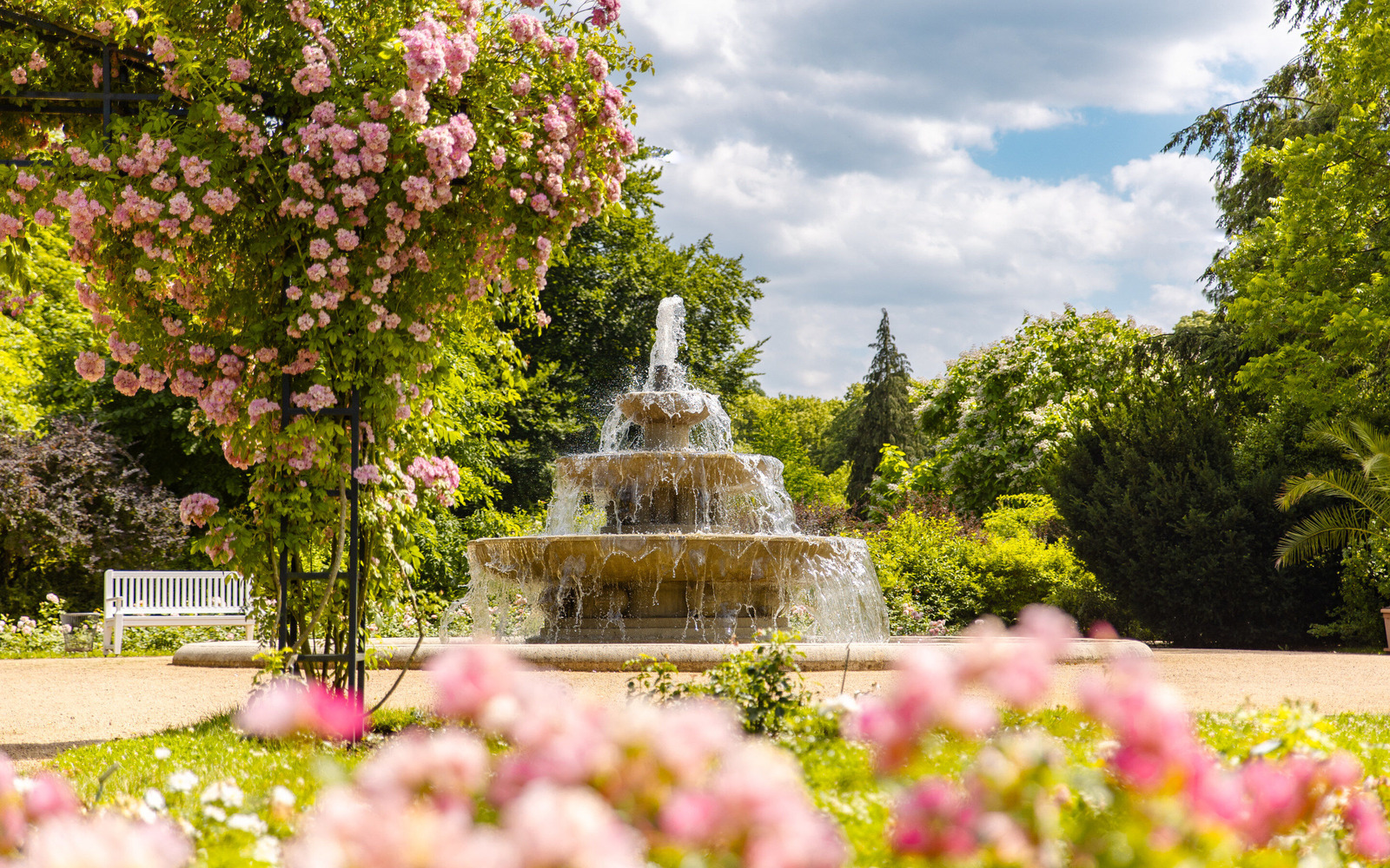 Ostdeutscher Rosengarten Forst (Lausitz), Foto: Patrick Lucia, Lizenz: PatLografie