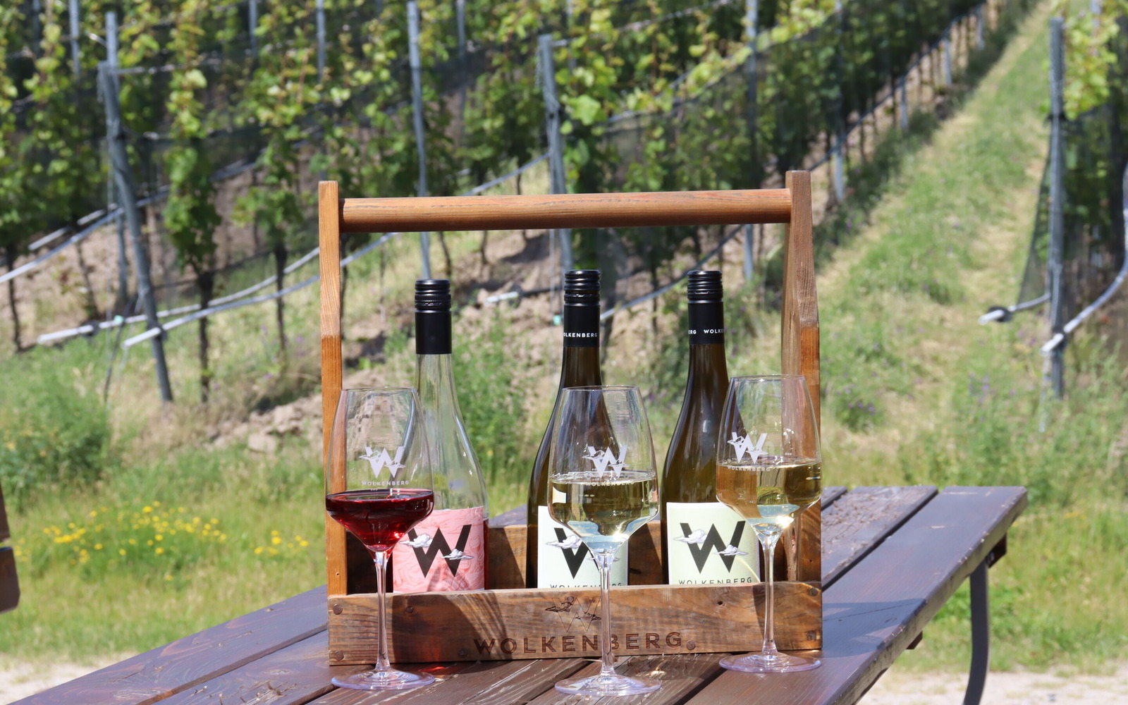 Wolkenberg Wein-Arrangement , Foto: Anett Bellmann, Lizenz: Wolkenberg Kellerei GmbH & Co KG