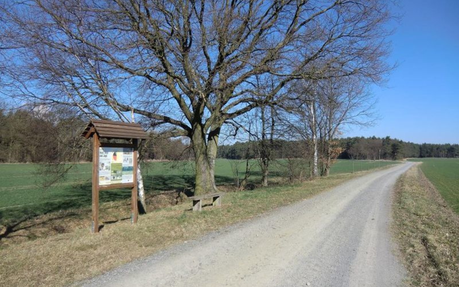 Infotafel am Wolfsradweg nördlich von Kringelsdorf