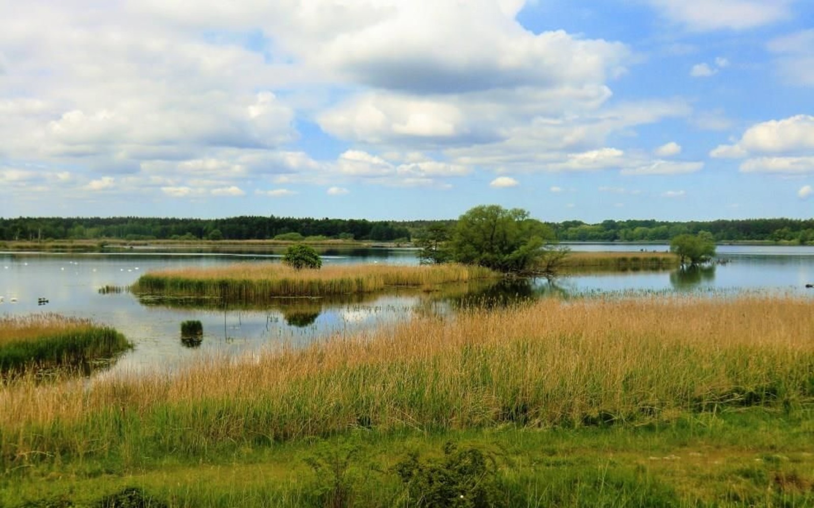 Biosphärenreservat Oberlausitzer Heide- und Teichlandschaft