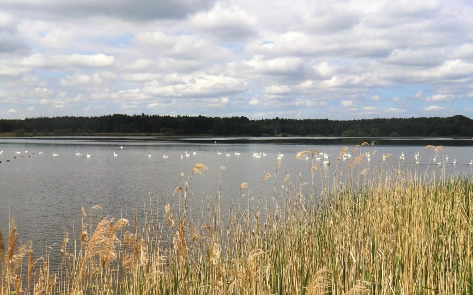 Biosphärenreservat Oberlausitzer Heide- und Teichlandschaft