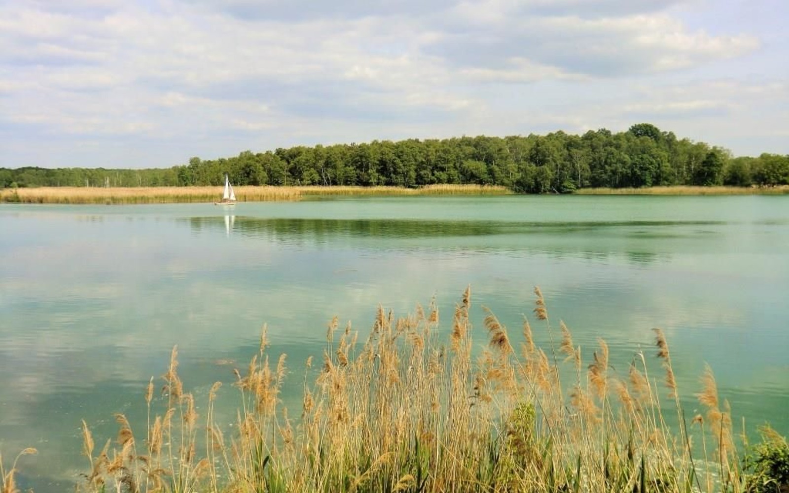Biosphärenreservat Oberlausitzer Heide- und Teichlandschaft