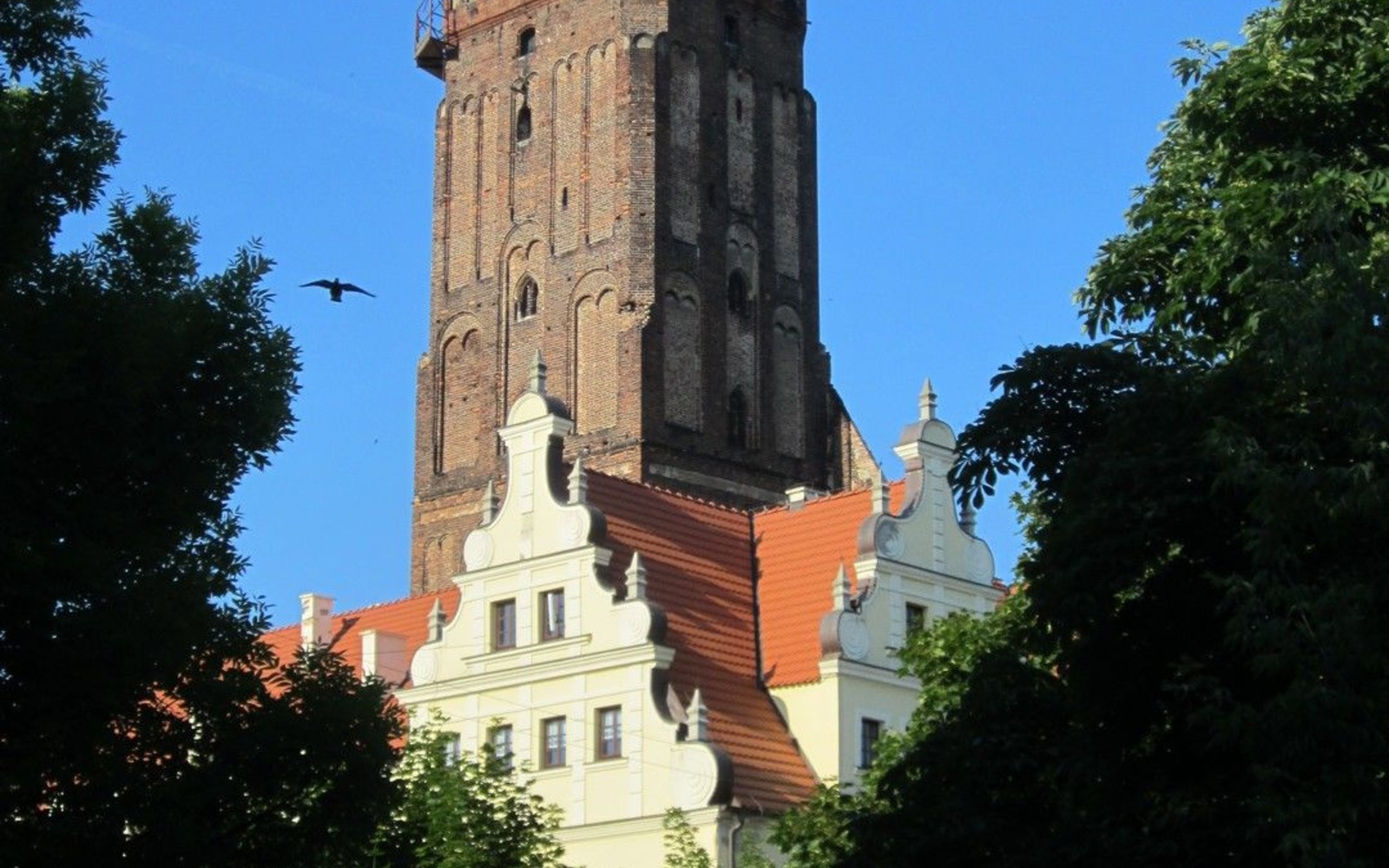 Stadt- und Hauptkirche, Foto: MuT Guben