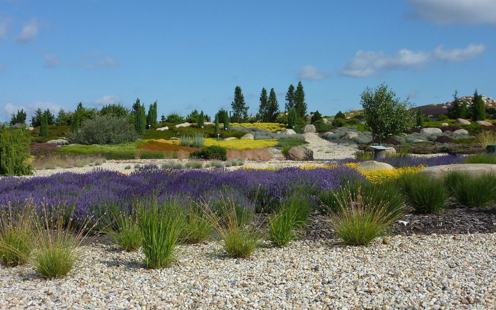 Findlingspark Nochten, Foto: Findlingspark Nochten